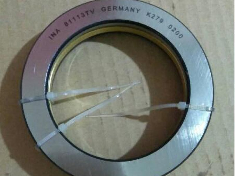 INA 81113TV cylindrical thrust roller bearing