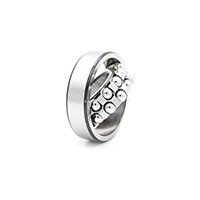 Focus on Inner Ring Double End Face Control