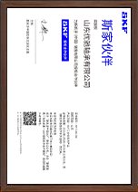 Certificate SKF_